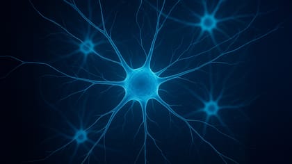 Neurobiological Mechanisms of Neuronal Protection: The Recovery System (RS)